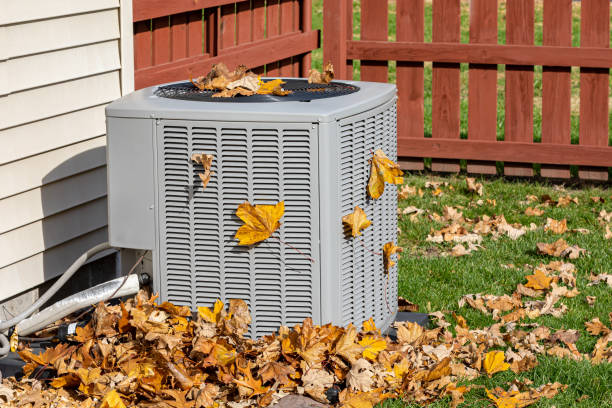 Best Ductless HVAC repair  in Alamo, GA